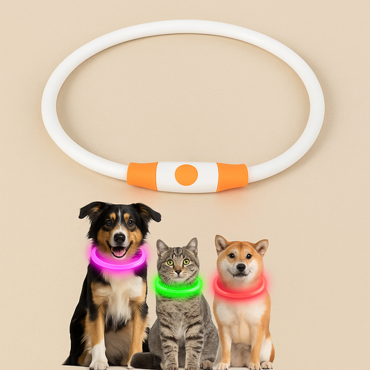 GlowLoop™ LED Dog Collar – Rechargeable, Waterproof Night Safety Collar
